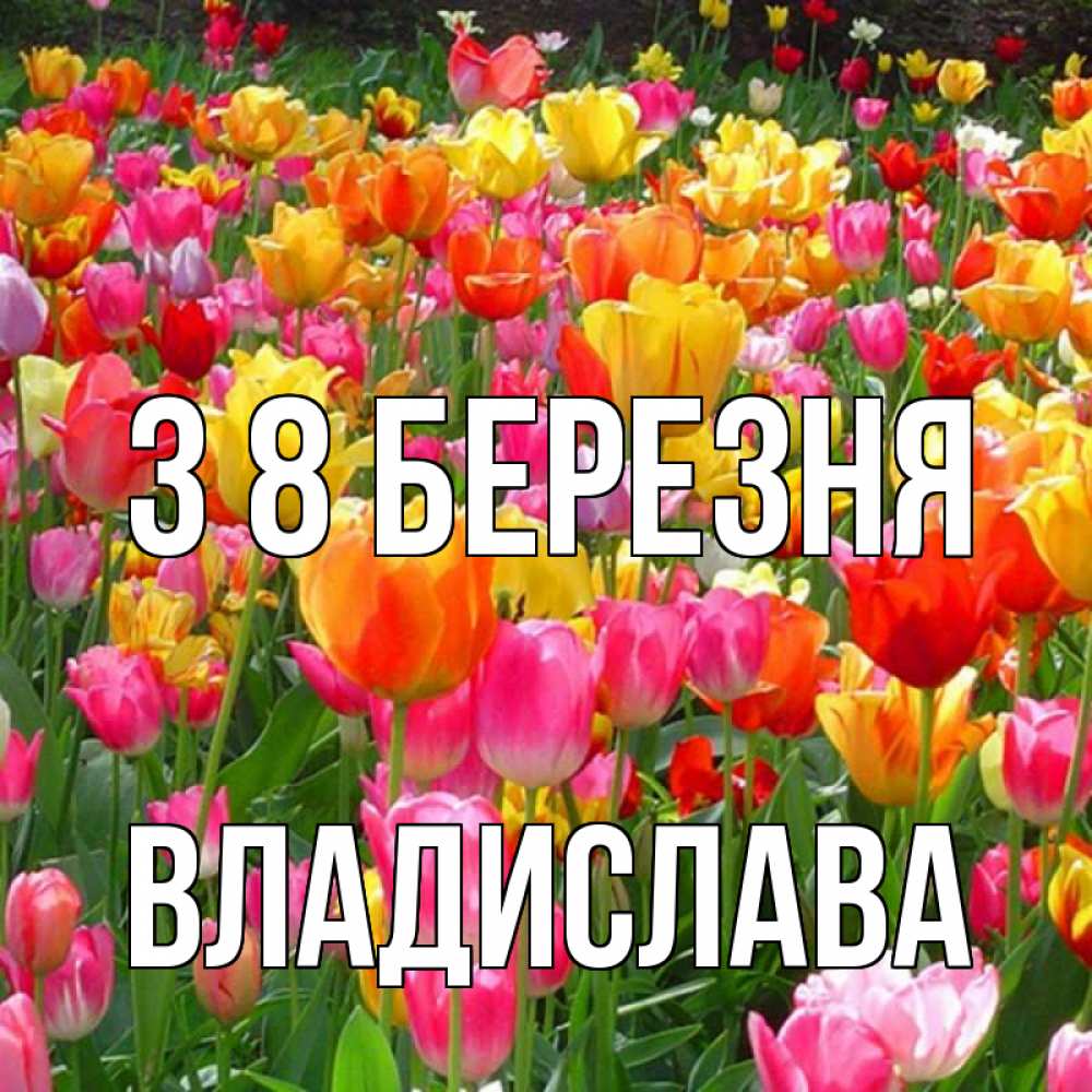Открытка на каждый день з підписом, Владислава З 8 БЕРЕЗНЯ на международный женский день Прикольна листівка з побажанням онлайн скачати безкоштовно 