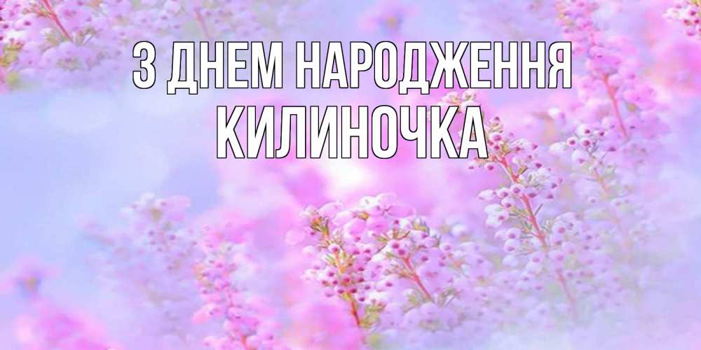 Открытка на каждый день з підписом, Килиночка З Днем народження красивая открытка с мелкими цветами Прикольна листівка з побажанням онлайн скачати безкоштовно 