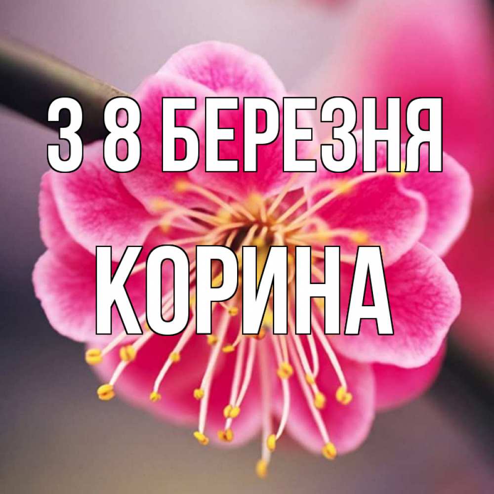 Открытка на каждый день з підписом, Корина З 8 БЕРЕЗНЯ цветы Прикольна листівка з побажанням онлайн скачати безкоштовно 