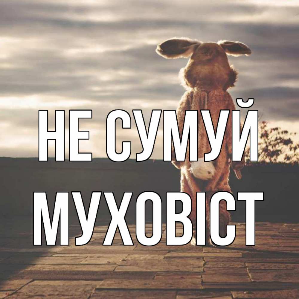 Открытка на каждый день з підписом, Муховіст Не сумуй со спины Прикольна листівка з побажанням онлайн скачати безкоштовно 