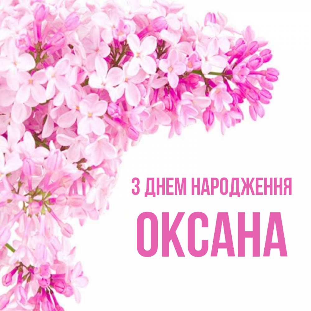 Открытка на каждый день з підписом, Оксана З Днем народження Сирень на белом фоне Прикольна листівка з побажанням онлайн скачати безкоштовно 