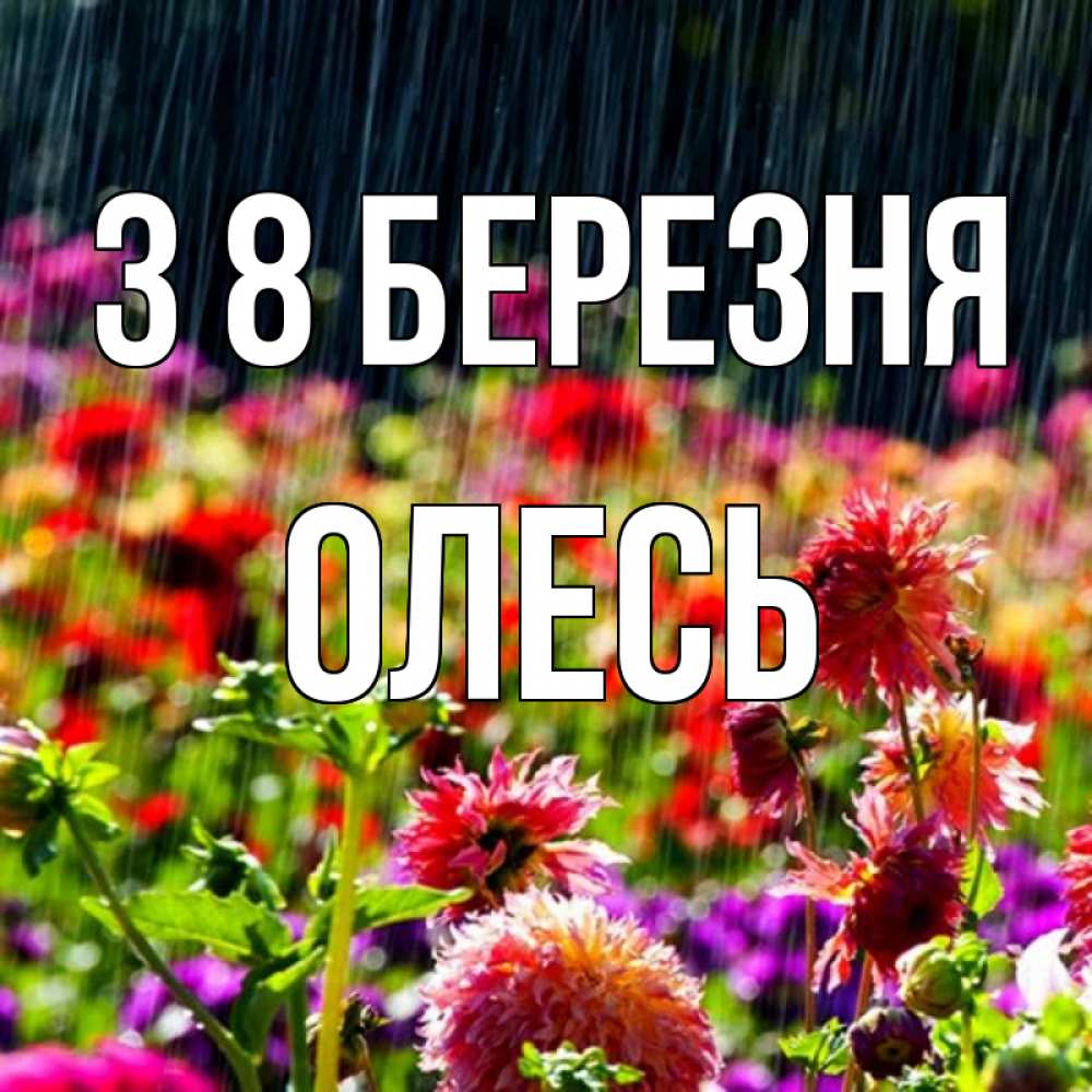 Открытка на каждый день з підписом, Олесь З 8 БЕРЕЗНЯ цветы под дождиком к международному женскому дню Прикольна листівка з побажанням онлайн скачати безкоштовно 