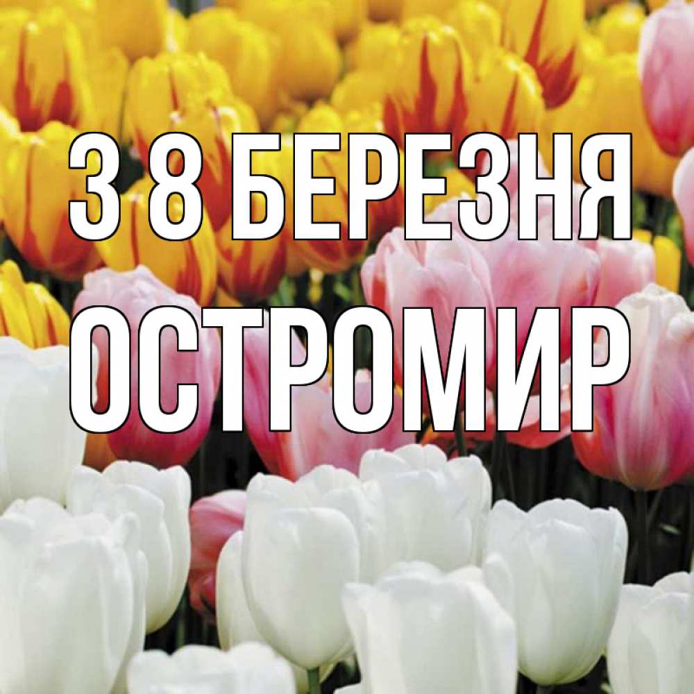 Открытка на каждый день з підписом, Остромир З 8 БЕРЕЗНЯ разноцветные цветы Прикольна листівка з побажанням онлайн скачати безкоштовно 
