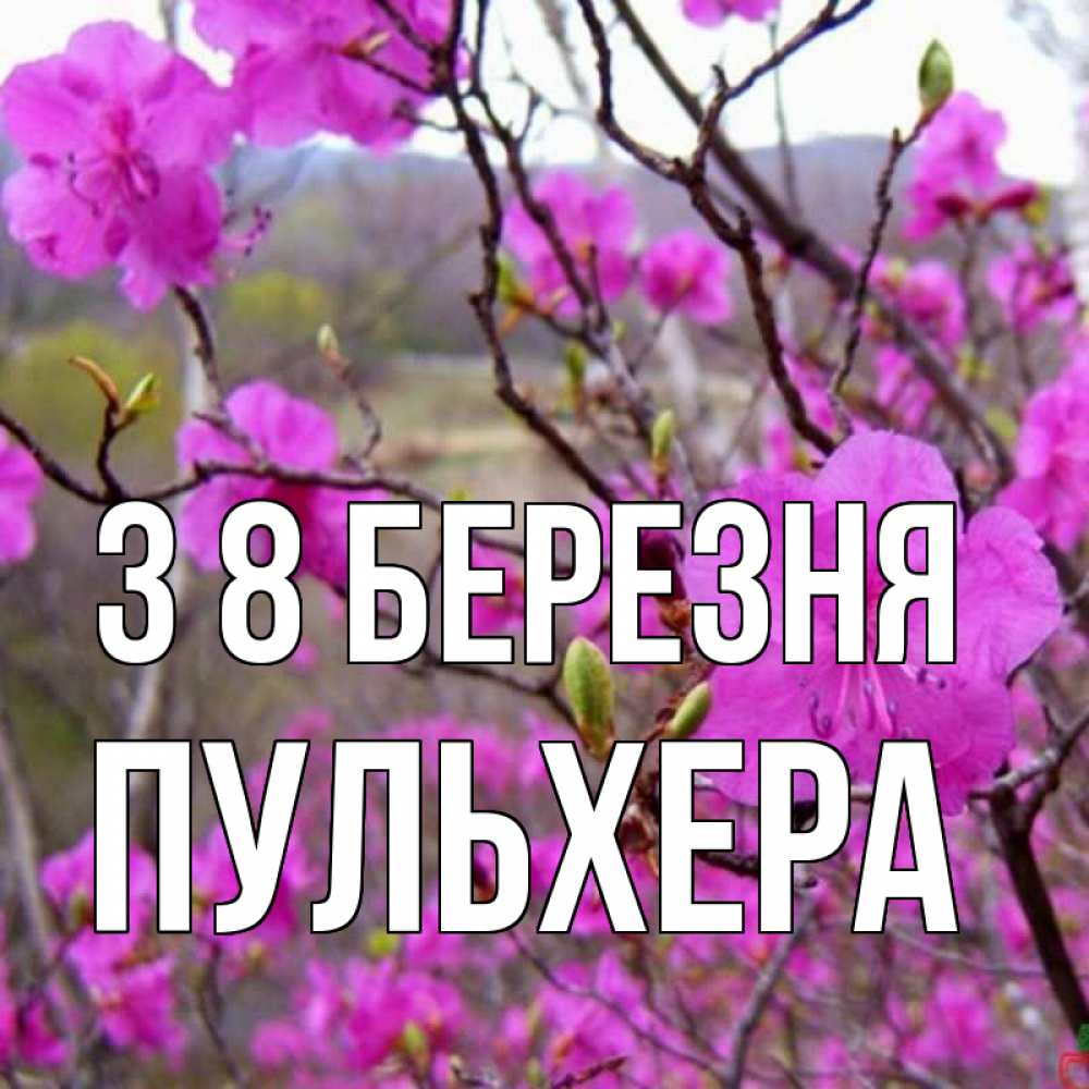 Открытка на каждый день з підписом, Пульхера З 8 БЕРЕЗНЯ международный женский день Прикольна листівка з побажанням онлайн скачати безкоштовно 