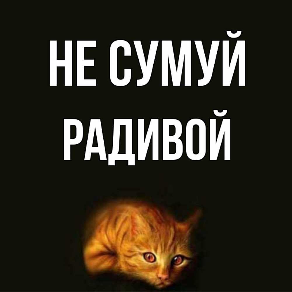 Открытка на каждый день з підписом, Радивой Не сумуй лежащий кот в темноте Прикольна листівка з побажанням онлайн скачати безкоштовно 