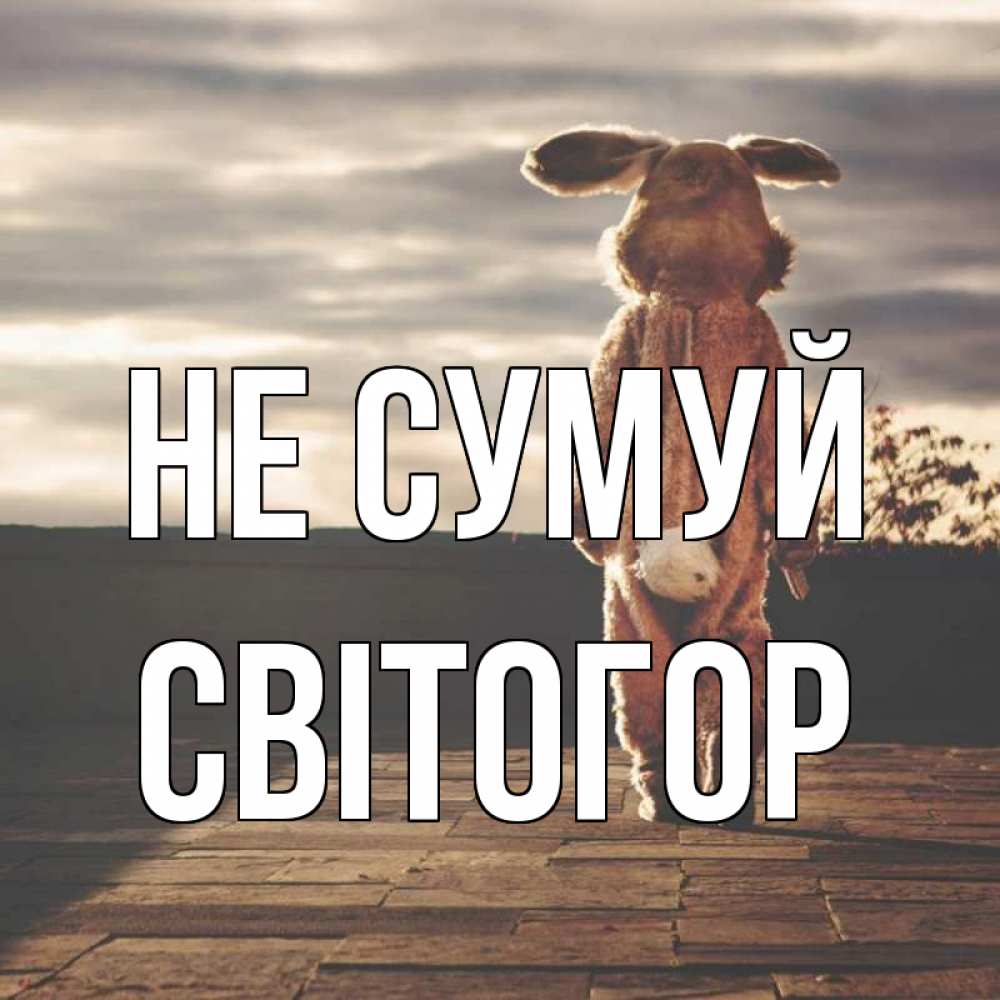 Открытка на каждый день з підписом, Світогор Не сумуй со спины Прикольна листівка з побажанням онлайн скачати безкоштовно 