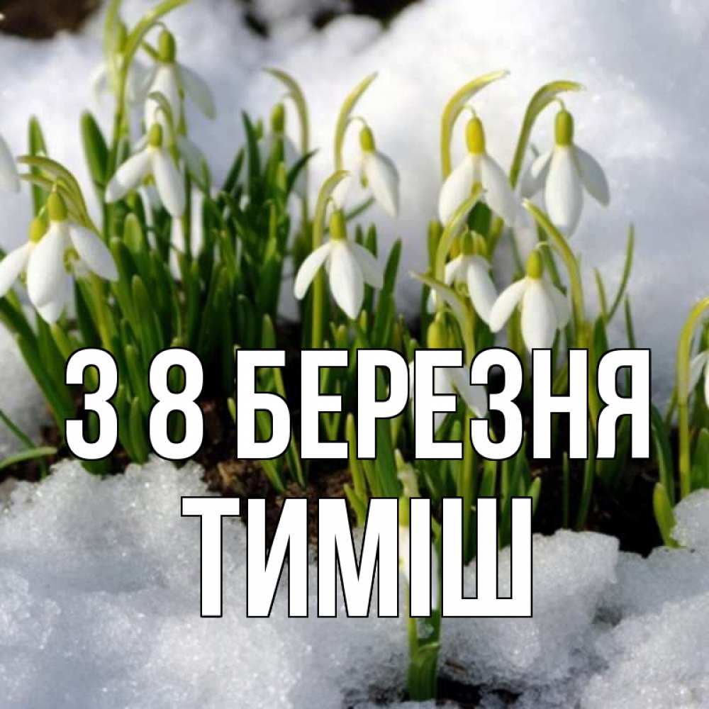 Открытка на каждый день з підписом, Тиміш З 8 БЕРЕЗНЯ цветы весенние Прикольна листівка з побажанням онлайн скачати безкоштовно 