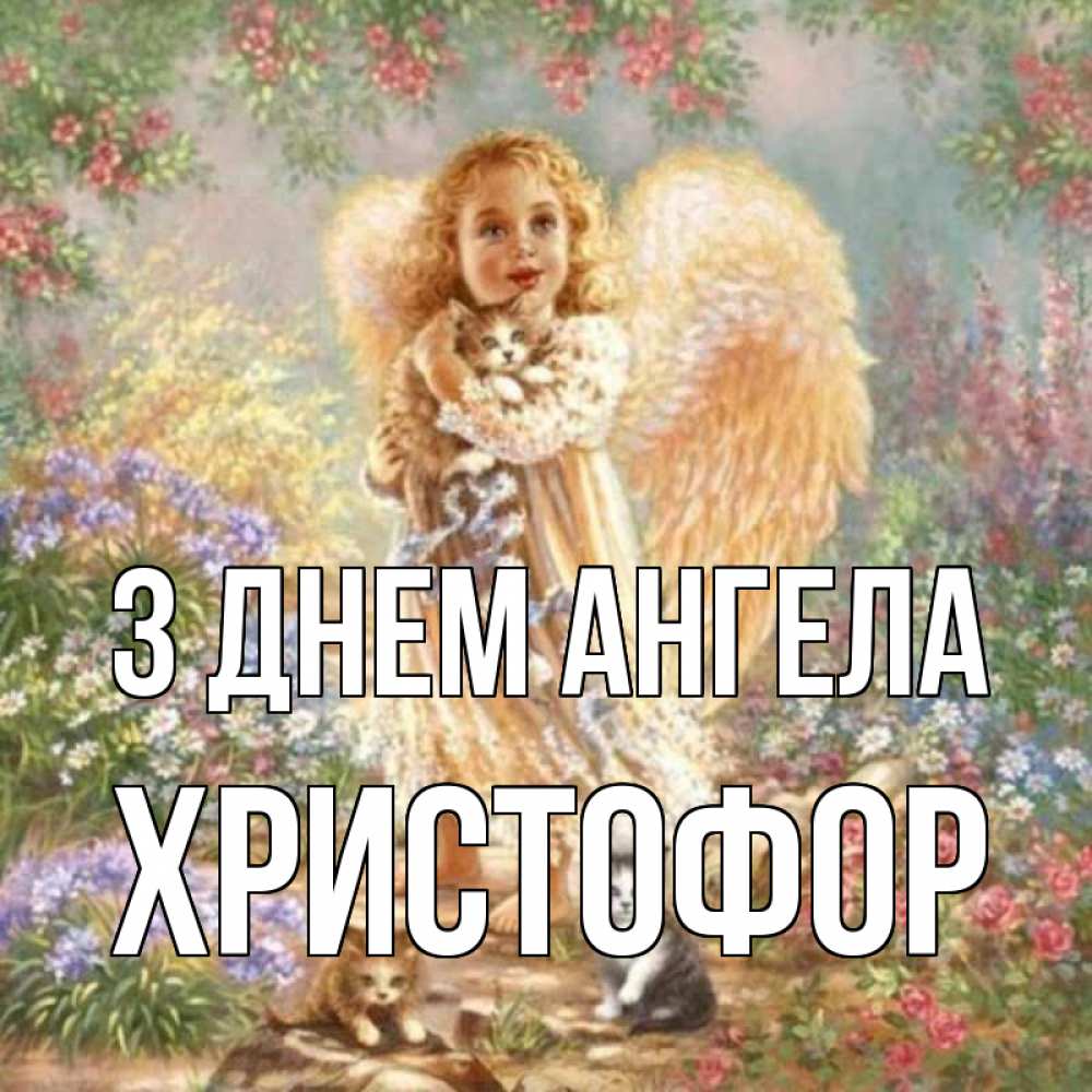 Открытка на каждый день з підписом, Христофор З Днем ангела держит котенка Прикольна листівка з побажанням онлайн скачати безкоштовно 