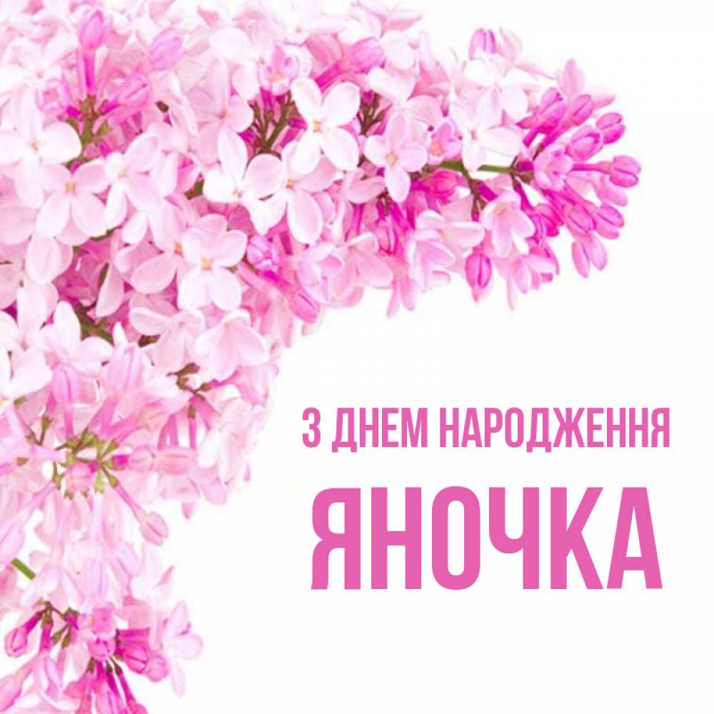 Открытка на каждый день з підписом, Яночка З Днем народження Сирень на белом фоне Прикольна листівка з побажанням онлайн скачати безкоштовно 