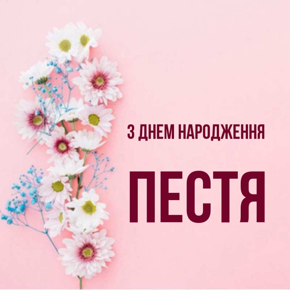 Открытка на каждый день з підписом, Пестя З Днем народження Родная моя с днем рождения тебя картинка с цветами белыми и голубыми Прикольна листівка з побажанням онлайн скачати безкоштовно 