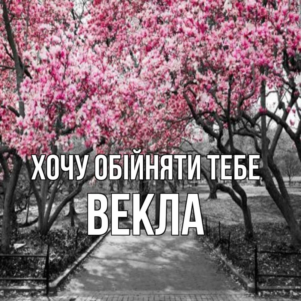 Открытка на каждый день з підписом, Векла Хочу обійняти тебе обработанное фото Прикольна листівка з побажанням онлайн скачати безкоштовно 