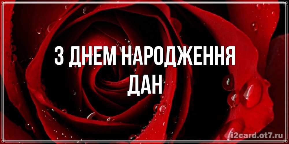 Открытка на каждый день з підписом, Дан З Днем народження крупная бордовая роза Прикольна листівка з побажанням онлайн скачати безкоштовно 