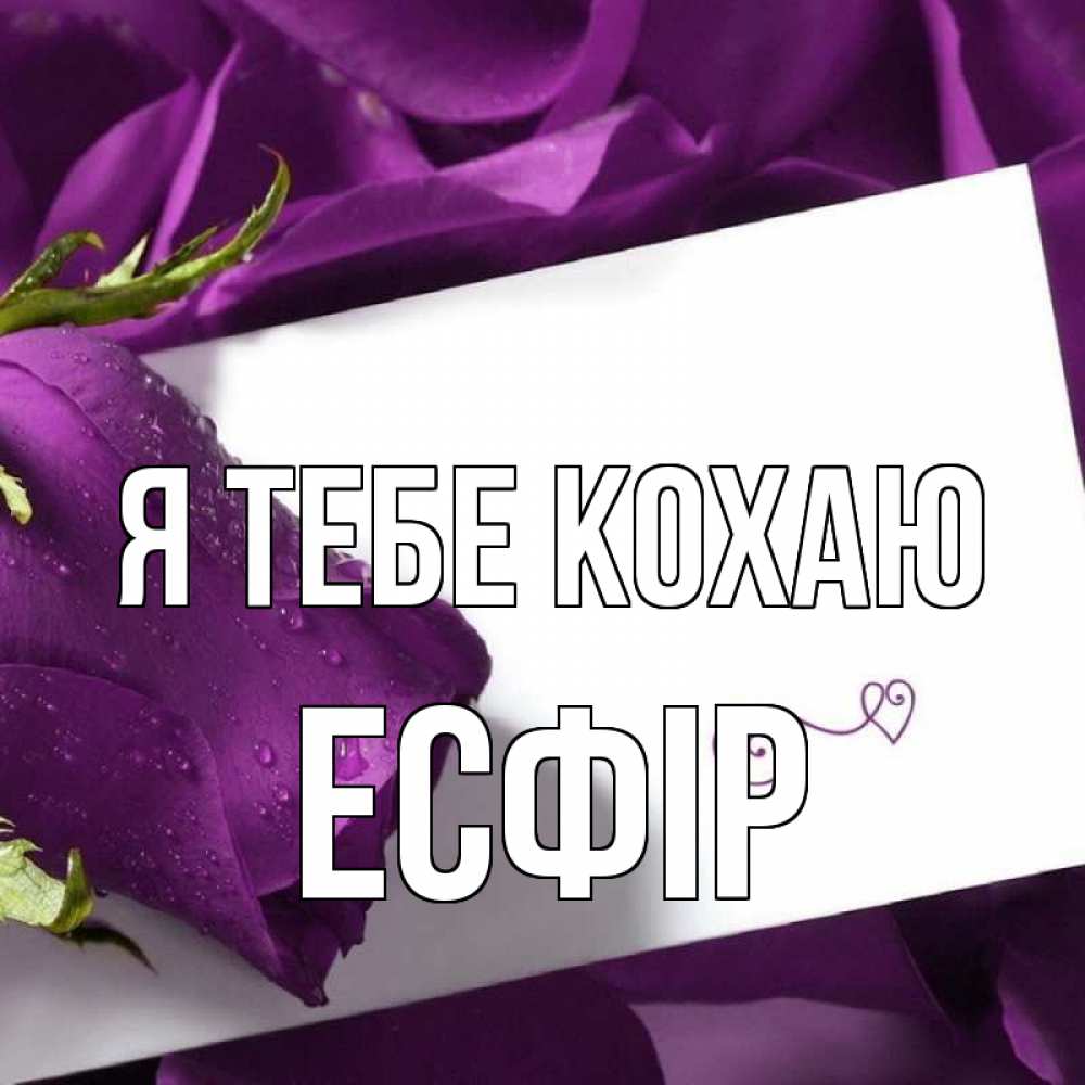 Открытка на каждый день з підписом, Есфір Я тебе кохаю роза Прикольна листівка з побажанням онлайн скачати безкоштовно 