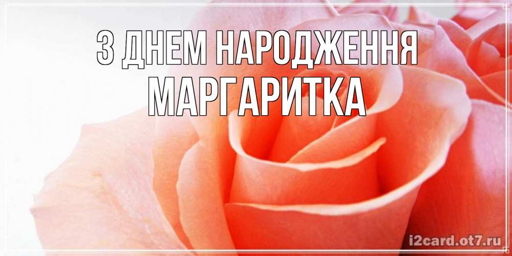 Открытка на каждый день з підписом, Маргаритка З Днем народження розы для поздравления с днем рождения Прикольна листівка з побажанням онлайн скачати безкоштовно 