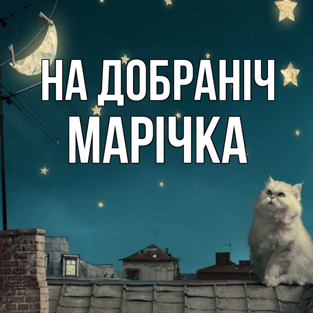 Открытка на каждый день з підписом, Марічка На добраніч белый кот сидит на крыше Прикольна листівка з побажанням онлайн скачати безкоштовно 