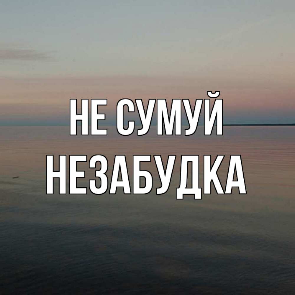 Открытка на каждый день з підписом, Незабудка Не сумуй водная гладь Прикольна листівка з побажанням онлайн скачати безкоштовно 