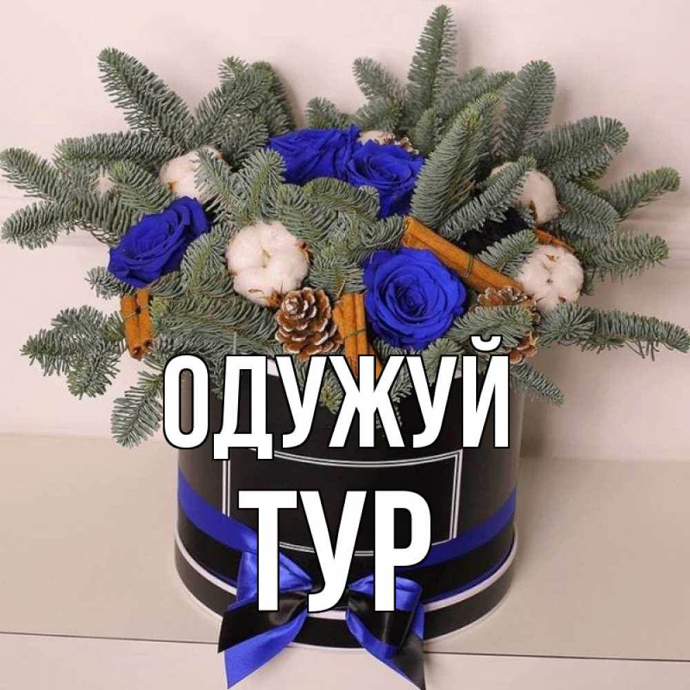 Открытка на каждый день з підписом, Тур Одужуй короче кто то загрузил эти шишки Прикольна листівка з побажанням онлайн скачати безкоштовно 