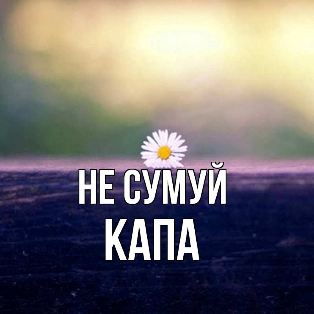 Открытка на каждый день з підписом, Капа Не сумуй красота Прикольна листівка з побажанням онлайн скачати безкоштовно 
