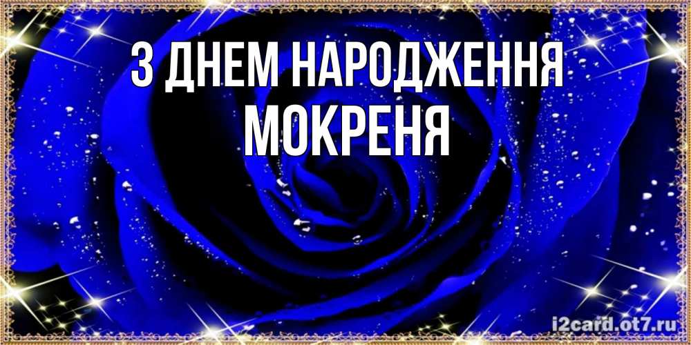 Открытка на каждый день з підписом, Мокреня З Днем народження голубые цветы в росе Прикольна листівка з побажанням онлайн скачати безкоштовно 