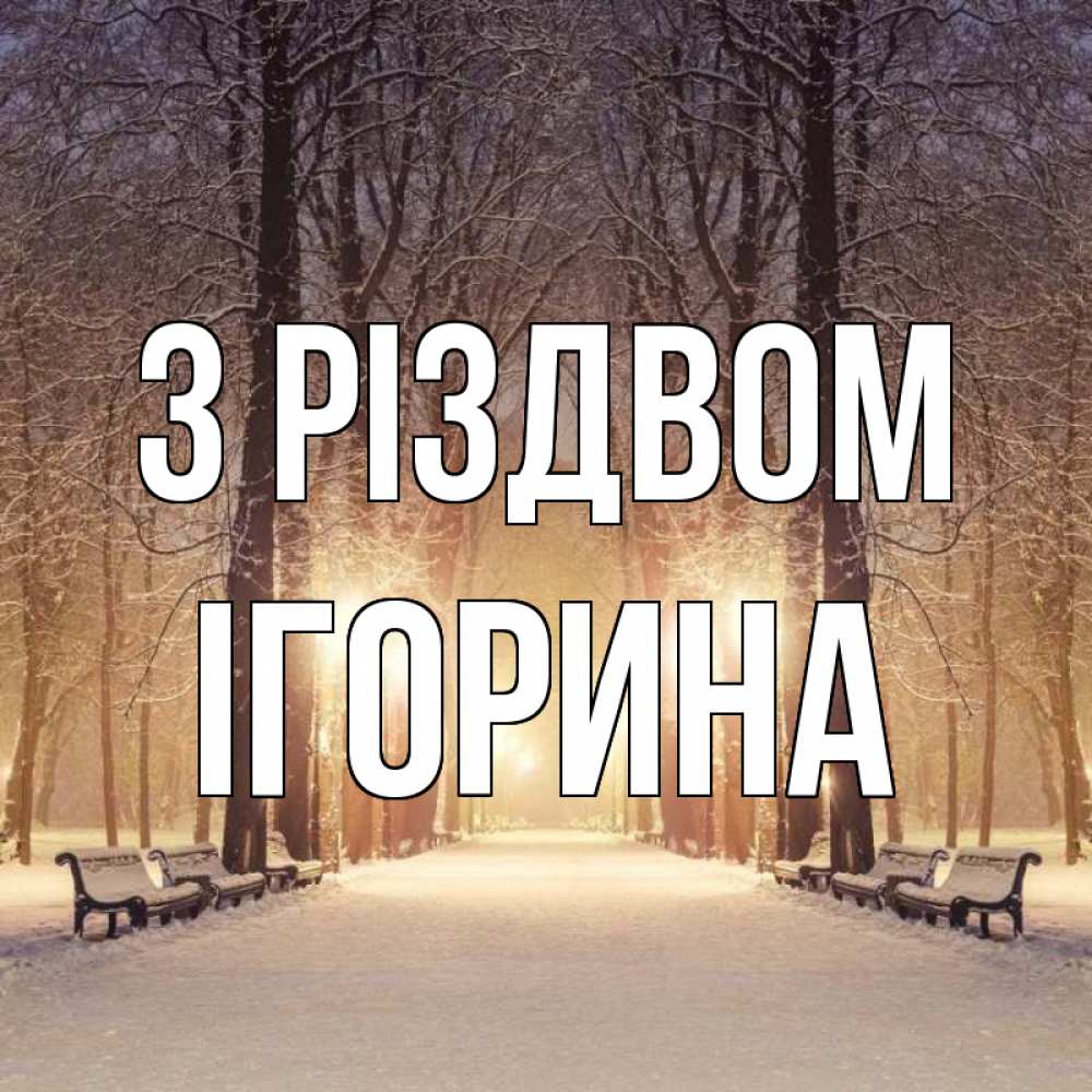 Открытка на каждый день з підписом, Ігорина З Різдвом зима, парк, фонарь, лес Прикольна листівка з побажанням онлайн скачати безкоштовно 