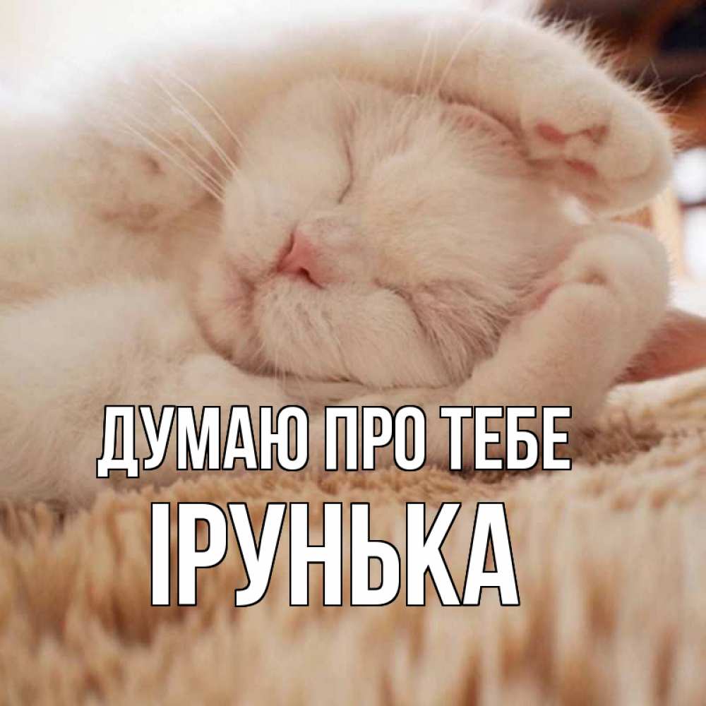 Открытка на каждый день з підписом, Ірунька Думаю про тебе для любимой девушки милота Прикольна листівка з побажанням онлайн скачати безкоштовно 
