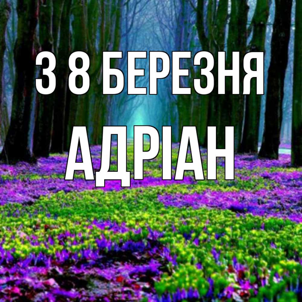 Открытка на каждый день з підписом, Адріан З 8 БЕРЕЗНЯ фиолетовые цветы в лесу 1 Прикольна листівка з побажанням онлайн скачати безкоштовно 