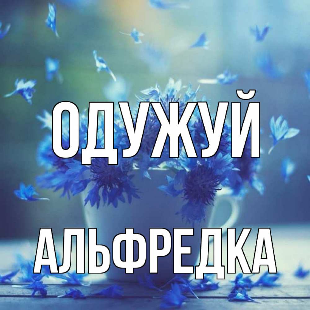 Открытка на каждый день з підписом, Альфредка Одужуй кружка с зельем и цветами Прикольна листівка з побажанням онлайн скачати безкоштовно 