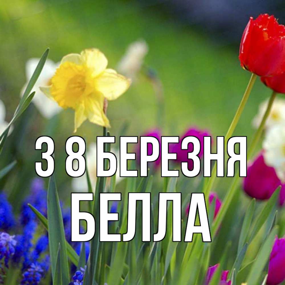 Открытка на каждый день з підписом, Белла З 8 БЕРЕЗНЯ международный женский день 3 Прикольна листівка з побажанням онлайн скачати безкоштовно 