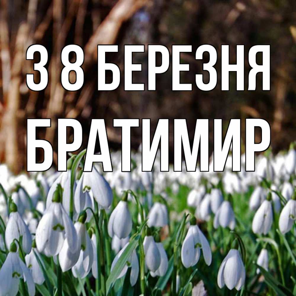 Открытка на каждый день з підписом, Братимир З 8 БЕРЕЗНЯ с подснежниками 1 Прикольна листівка з побажанням онлайн скачати безкоштовно 