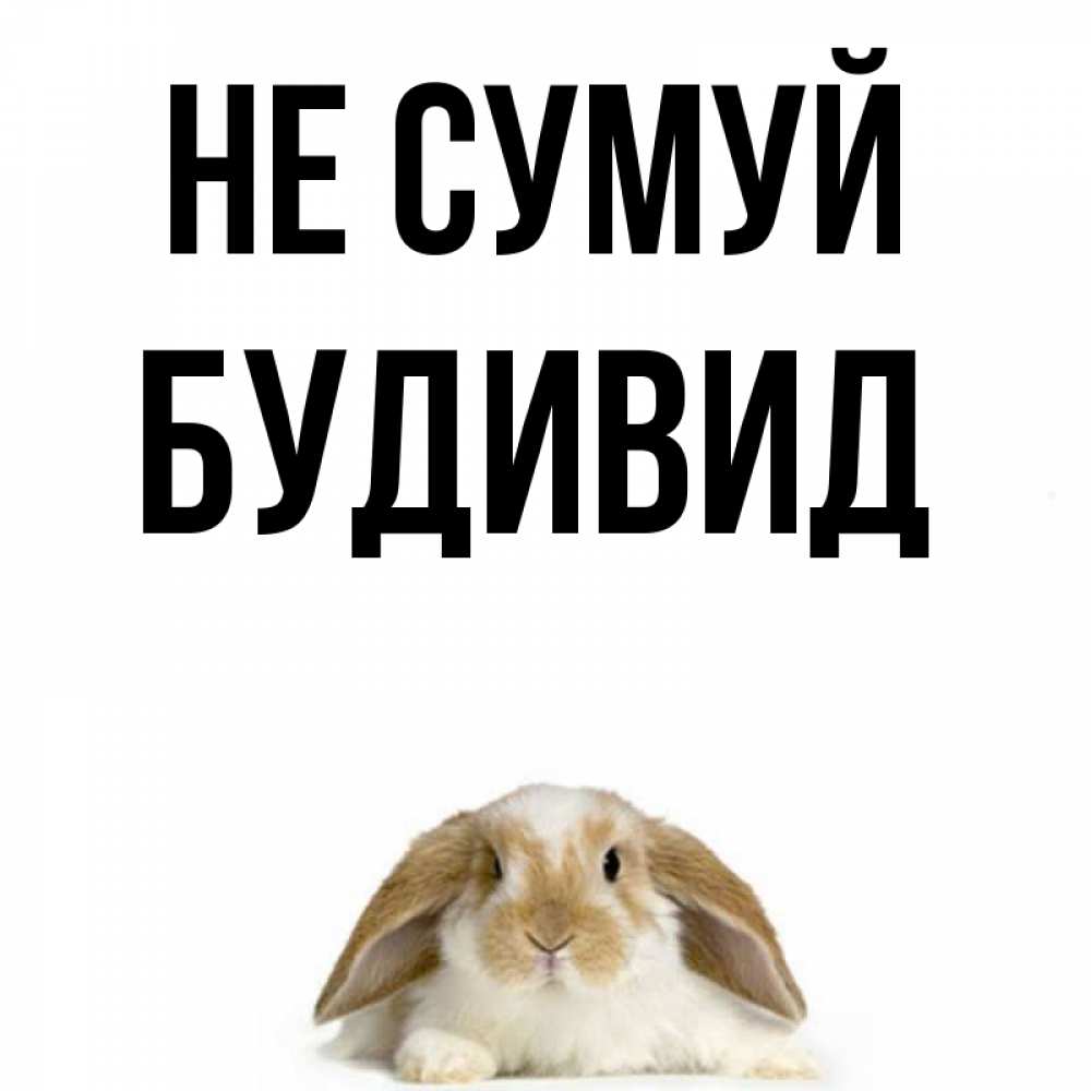 Открытка на каждый день з підписом, Будивид Не сумуй коричнево белый заяц с большими ушками Прикольна листівка з побажанням онлайн скачати безкоштовно 