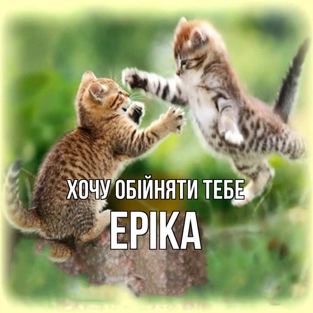 Открытка на каждый день з підписом, Еріка Хочу обійняти тебе игры котят Прикольна листівка з побажанням онлайн скачати безкоштовно 