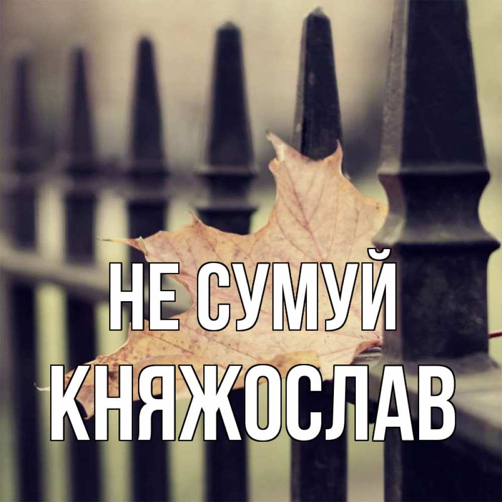 Открытка на каждый день з підписом, Княжослав Не сумуй лист клена Прикольна листівка з побажанням онлайн скачати безкоштовно 