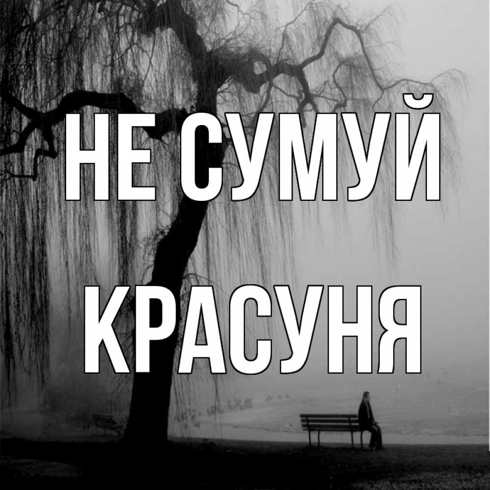 Открытка на каждый день з підписом, Красуня Не сумуй висящие ветки дерева и лавочка под деревом Прикольна листівка з побажанням онлайн скачати безкоштовно 