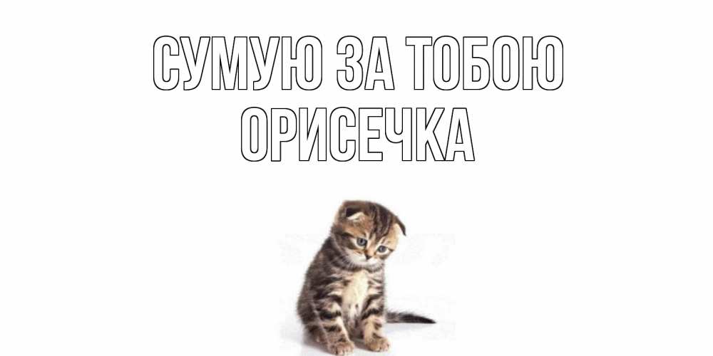 Открытка на каждый день з підписом, Орисечка Сумую за тобою кот Прикольна листівка з побажанням онлайн скачати безкоштовно 