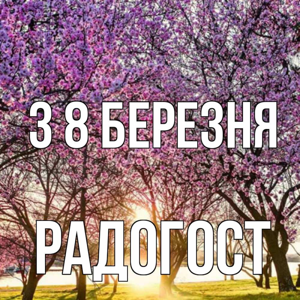 Открытка на каждый день з підписом, Радогост З 8 БЕРЕЗНЯ международный женский день Прикольна листівка з побажанням онлайн скачати безкоштовно 
