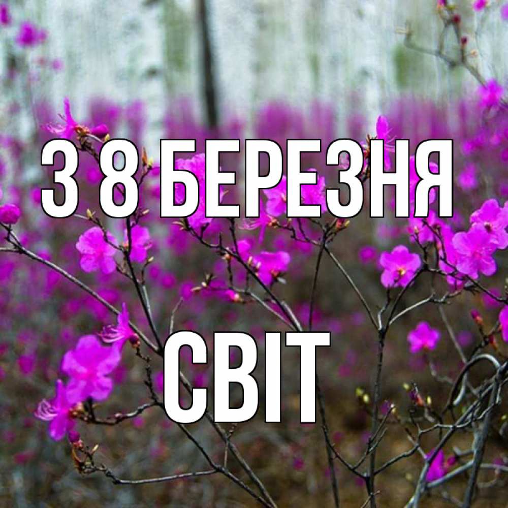 Открытка на каждый день з підписом, Світ З 8 БЕРЕЗНЯ дикие цветы Прикольна листівка з побажанням онлайн скачати безкоштовно 