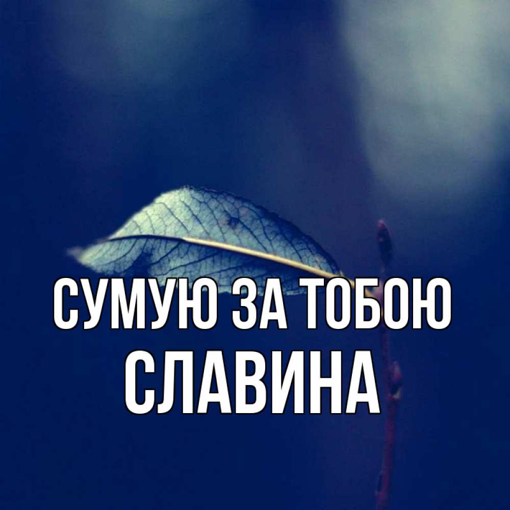 Открытка на каждый день з підписом, Славина Сумую за тобою одна ветка 1 Прикольна листівка з побажанням онлайн скачати безкоштовно 