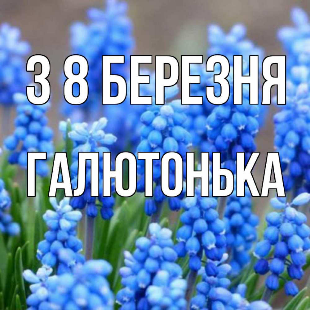 Открытка на каждый день з підписом, Галютонька З 8 БЕРЕЗНЯ Поздравительная открытка для женщин с цветами на праздничную дату Прикольна листівка з побажанням онлайн скачати безкоштовно 
