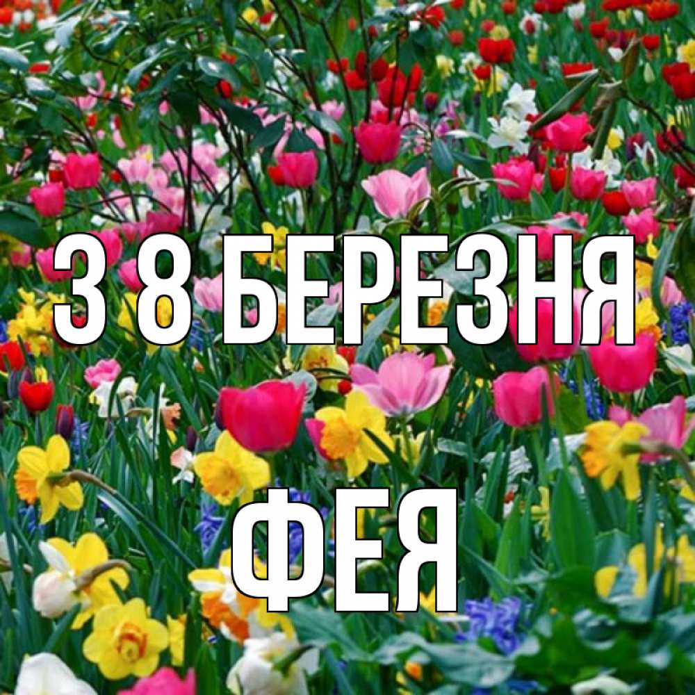 Открытка на каждый день з підписом, Фея З 8 БЕРЕЗНЯ с международным женским днем поздравления для женщины Прикольна листівка з побажанням онлайн скачати безкоштовно 