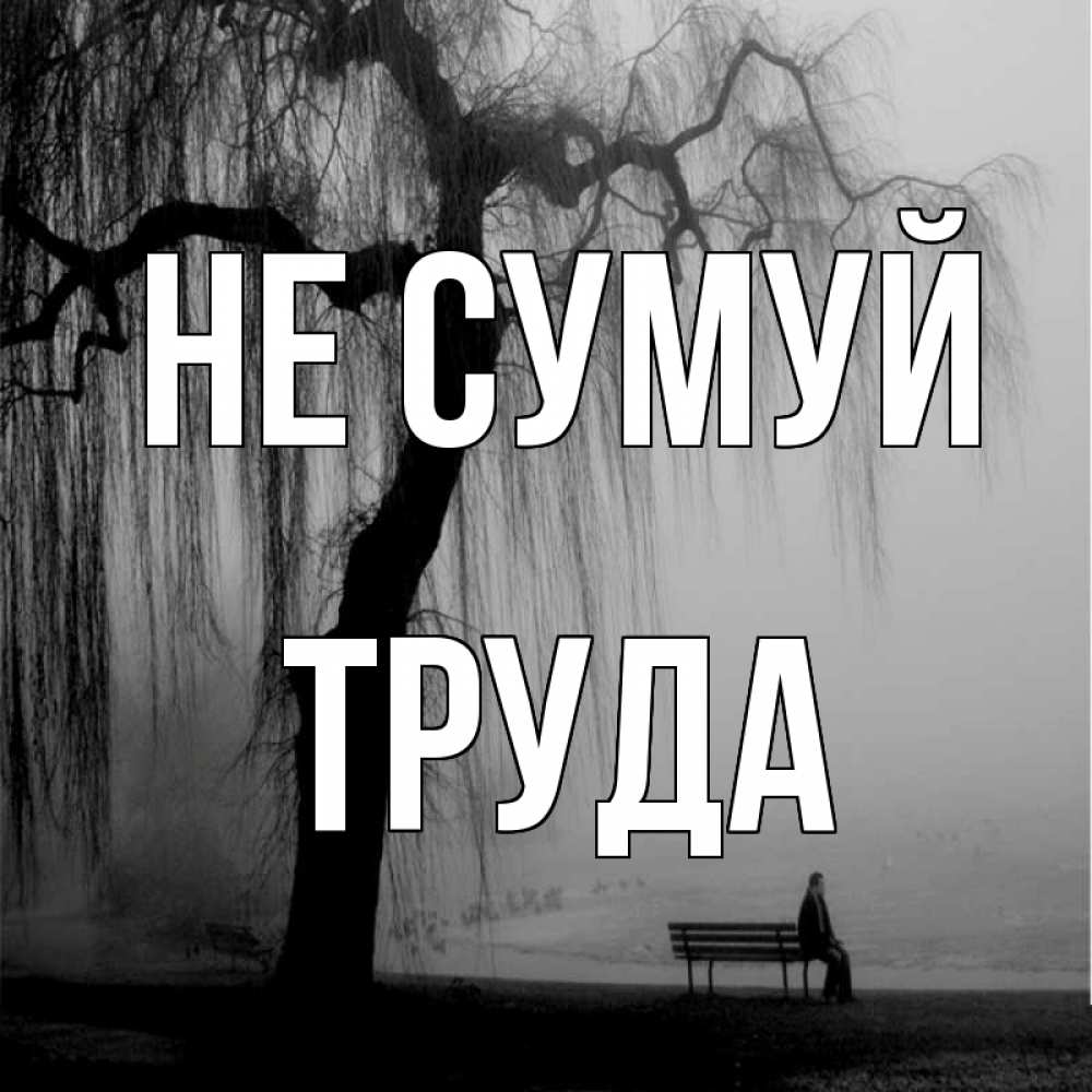 Открытка на каждый день з підписом, Труда Не сумуй висящие ветки дерева и лавочка под деревом Прикольна листівка з побажанням онлайн скачати безкоштовно 