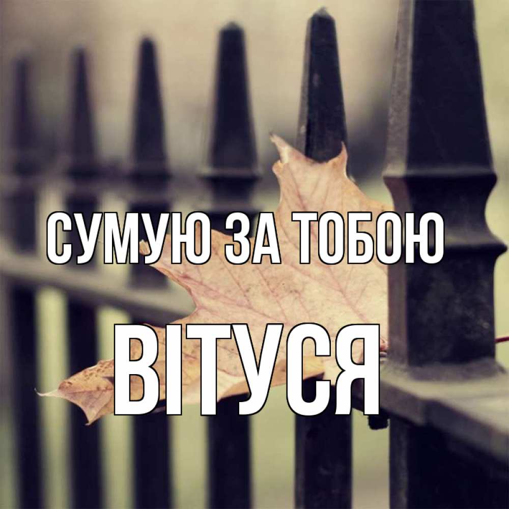 Открытка на каждый день з підписом, Вітуся Сумую за тобою очень скучно Прикольна листівка з побажанням онлайн скачати безкоштовно 