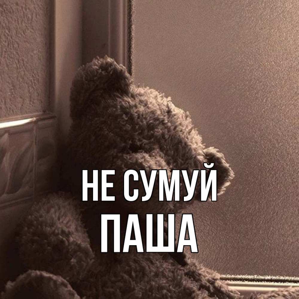 Открытка на каждый день з підписом, Паша Не сумуй стекол рефленое Прикольна листівка з побажанням онлайн скачати безкоштовно 