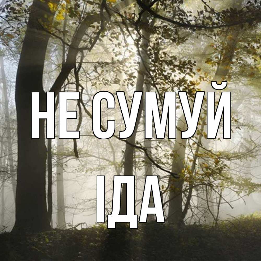 Открытка на каждый день з підписом, Іда Не сумуй лес и свет Прикольна листівка з побажанням онлайн скачати безкоштовно 