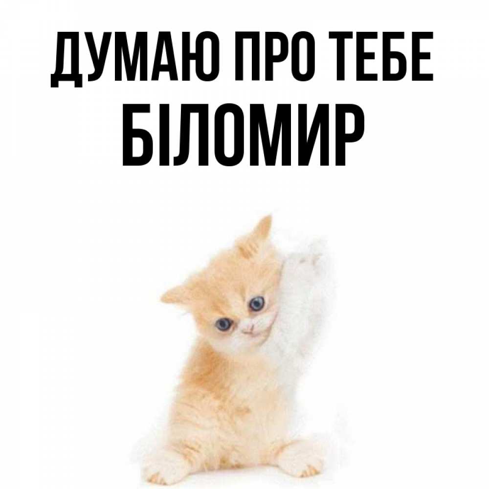 Открытка на каждый день з підписом, Біломир Думаю про тебе зверушки и милота Прикольна листівка з побажанням онлайн скачати безкоштовно 