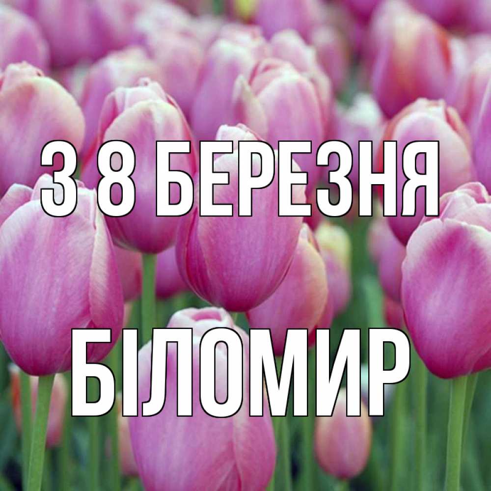 Открытка на каждый день з підписом, Біломир З 8 БЕРЕЗНЯ на международный женский день 3 Прикольна листівка з побажанням онлайн скачати безкоштовно 