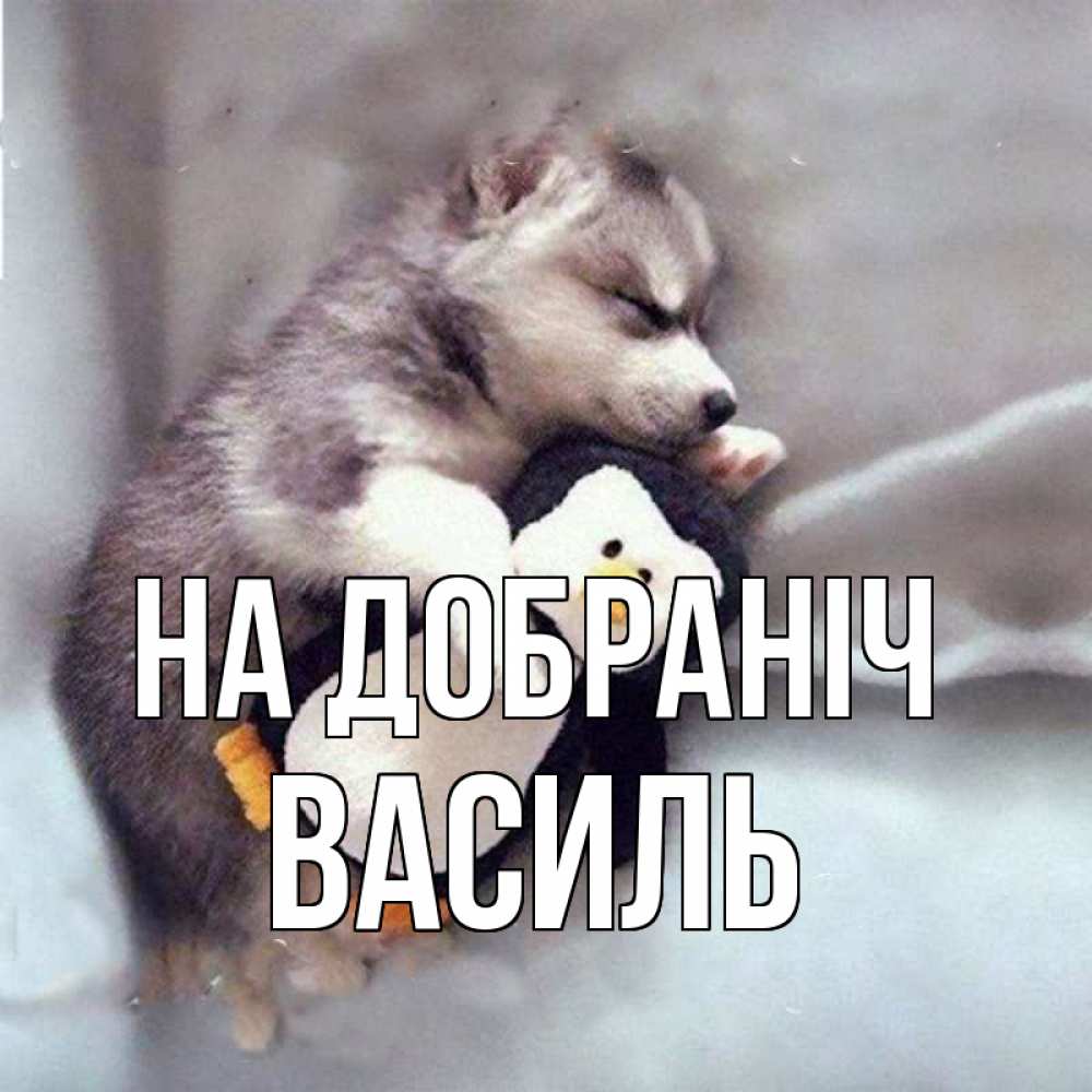 Открытка на каждый день з підписом, Василь На добраніч обнимашки щенка и пингвина Прикольна листівка з побажанням онлайн скачати безкоштовно 