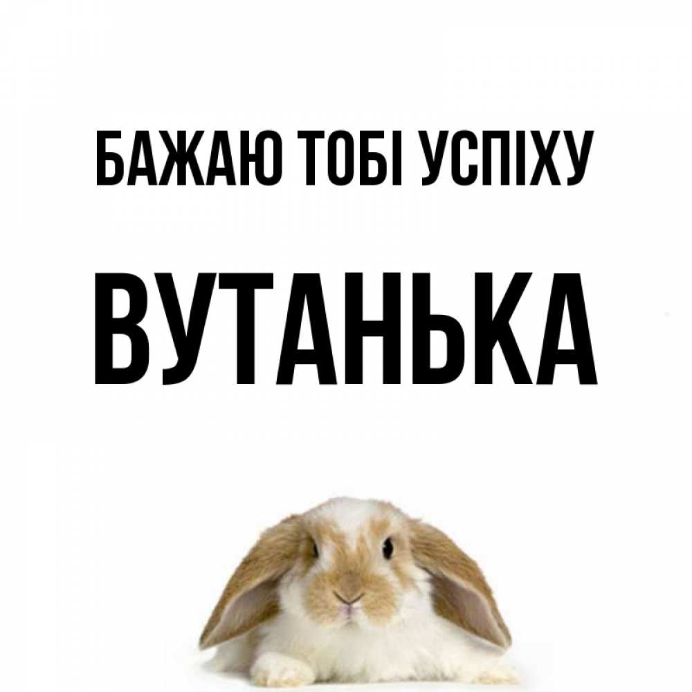 Открытка на каждый день з підписом, Вутанька Бажаю тобі успіху открытки с произвольным текстом который можно вставить в открытку и создать ее самостоятельно бесплатно онлайн Прикольна листівка з побажанням онлайн скачати безкоштовно 