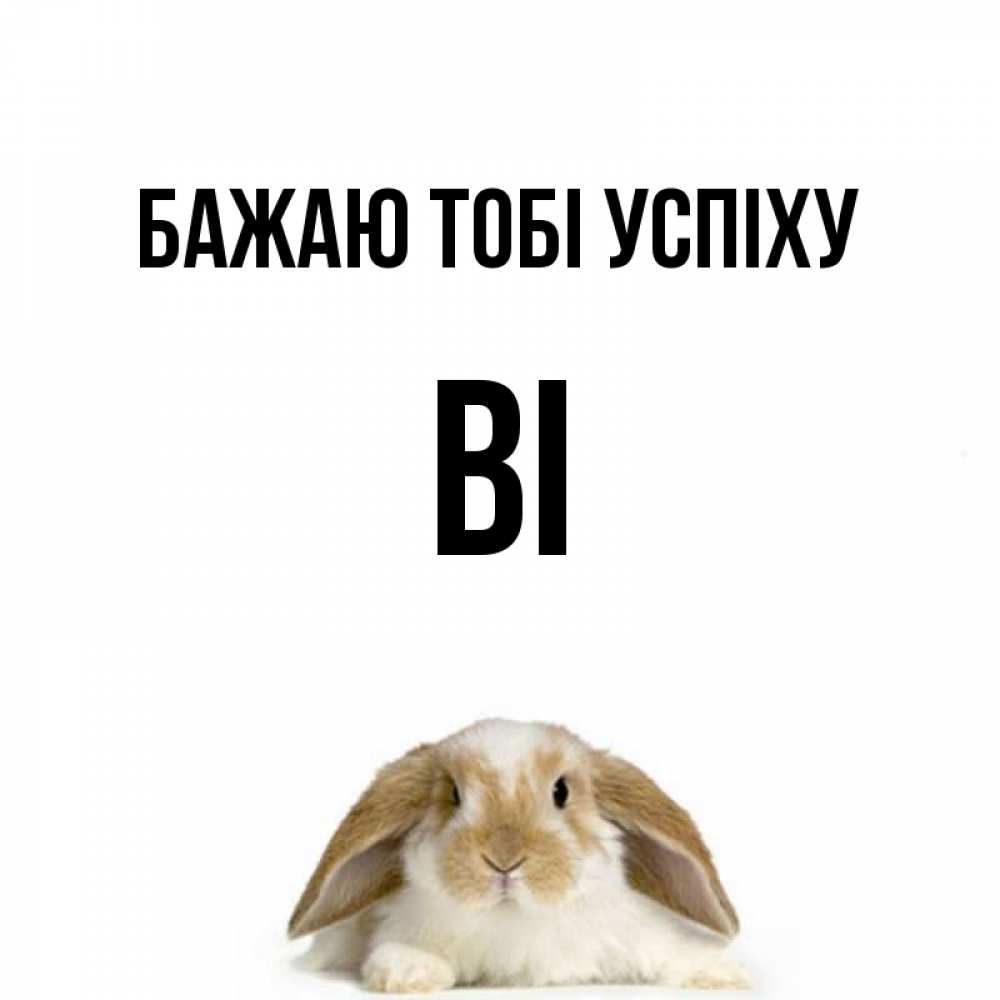 Открытка на каждый день з підписом, Ві Бажаю тобі успіху открытки с произвольным текстом который можно вставить в открытку и создать ее самостоятельно бесплатно онлайн Прикольна листівка з побажанням онлайн скачати безкоштовно 
