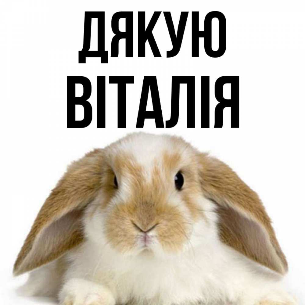 Открытка на каждый день з підписом, Віталія Дякую коричнево белый заяц Прикольна листівка з побажанням онлайн скачати безкоштовно 