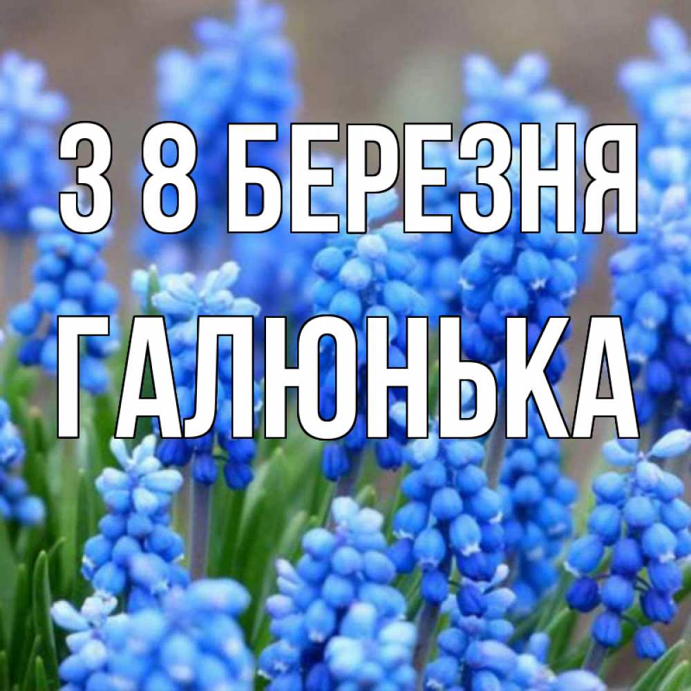 Открытка на каждый день з підписом, Галюнька З 8 БЕРЕЗНЯ Поздравительная открытка для женщин с цветами на праздничную дату Прикольна листівка з побажанням онлайн скачати безкоштовно 
